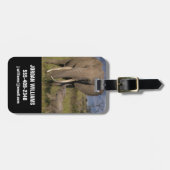 最も可愛い赤ん坊の動物 |アマゾウとベビー ラゲッジタグ (正面横)