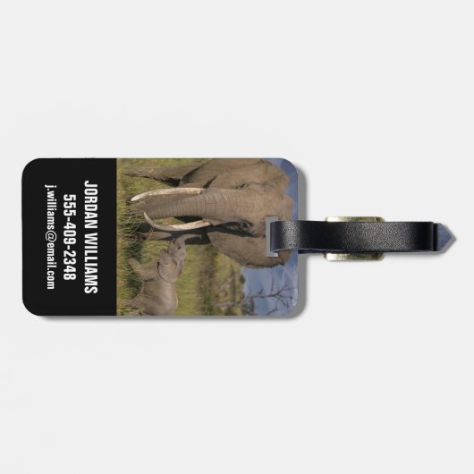 最も可愛い赤ん坊の動物 |アマゾウとベビー ラゲッジタグ (裏面横)