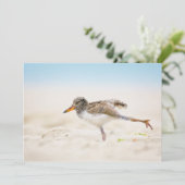 最も可愛い赤ん坊の動物 |アメリカのオイスターキャッチャー・シック サンキューカード (スタンド正面)