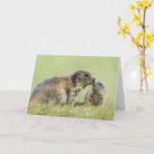 最も可愛い赤ん坊の動物 |アルパインマーモットファミリー カード (黄色い花)