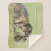 最も可愛い赤ん坊の動物 |アルパインマーモットファミリー シェルパブランケット (正面)