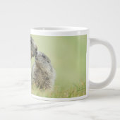 最も可愛い赤ん坊の動物 |アルパインマーモットファミリー ジャンボコーヒーマグカップ (右)