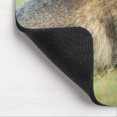 最も可愛い赤ん坊の動物 |アルパインマーモットファミリー マウスパッド (コーナー)