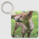 最も可愛い赤ん坊の動物 |アーバンキツネ キーホルダー (正面)