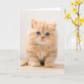 最も可愛い赤ん坊の動物 |イギリスのロングヘアの子猫 カード (黄色い花)
