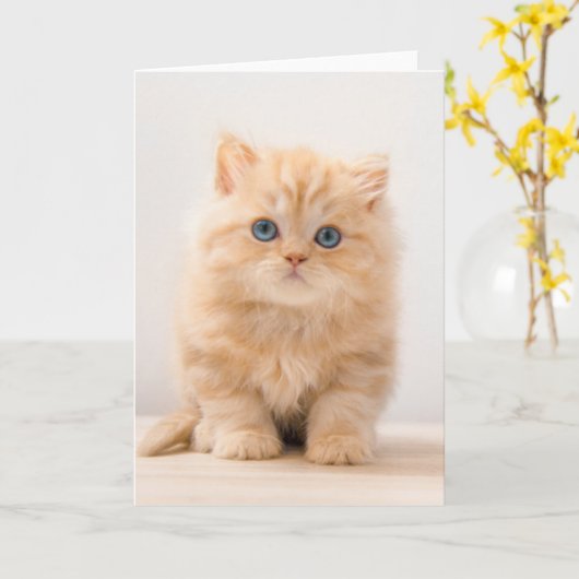 最も可愛い赤ん坊の動物 |イギリスのロングヘアの子猫 カード (黄色い花)