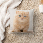 最も可愛い赤ん坊の動物 |イギリスのロングヘアの子猫 クッション (ブランケット)