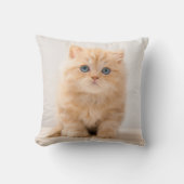 最も可愛い赤ん坊の動物 |イギリスのロングヘアの子猫 クッション (正面)