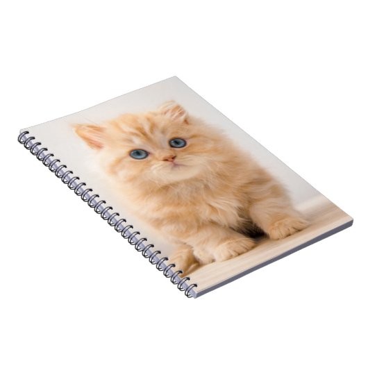最も可愛い赤ん坊の動物 |イギリスのロングヘアの子猫 ノートブック (右側)