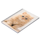 最も可愛い赤ん坊の動物 |イギリスのロングヘアの子猫 ノートブック (左側)