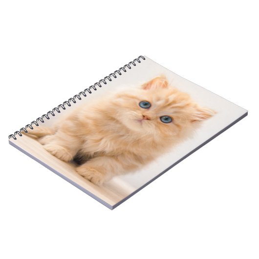 最も可愛い赤ん坊の動物 |イギリスのロングヘアの子猫 ノートブック (左側)