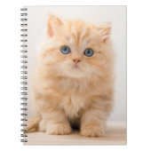 最も可愛い赤ん坊の動物 |イギリスのロングヘアの子猫 ノートブック (正面)