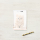 最も可愛い赤ん坊の動物 |イギリスのロングヘアの子猫 ポストイット (デスク上)