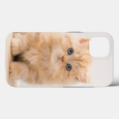 最も可愛い赤ん坊の動物 |イギリスのロングヘアの子猫 Case-Mate iPhoneケース (裏面 (横))