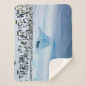 最も可愛い赤ん坊の動物 インペリアルペンギン植民地 シェルパブランケット (正面)