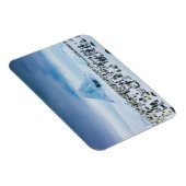 最も可愛い赤ん坊の動物 インペリアルペンギン植民地 マグネット (右側)