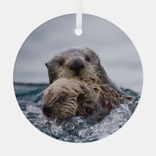 最も可愛い赤ん坊の動物 |オッターベビーとマザー ガラスオーナメント (裏面)