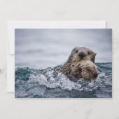 最も可愛い赤ん坊の動物 |オッターベビーとマザー サンキューカード (正面)