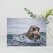 最も可愛い赤ん坊の動物 |オッターベビーとマザー サンキューカード (スタンド正面)