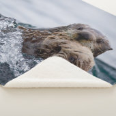 最も可愛い赤ん坊の動物 |オッターベビーとマザー シェルパブランケット (3/4)