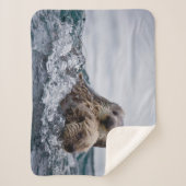 最も可愛い赤ん坊の動物 |オッターベビーとマザー シェルパブランケット (正面)