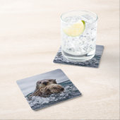 最も可愛い赤ん坊の動物 |オッターベビーとマザー スクエアペーパーコースター (インサイチュ)