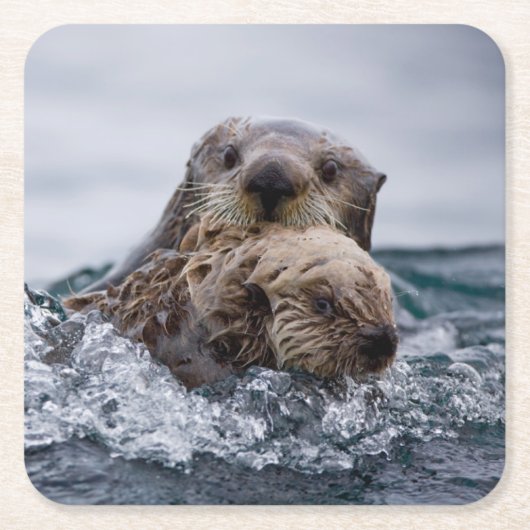 最も可愛い赤ん坊の動物 |オッターベビーとマザー スクエアペーパーコースター (正面)