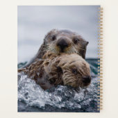 最も可愛い赤ん坊の動物 |オッターベビーとマザー プランナー手帳 (裏面)