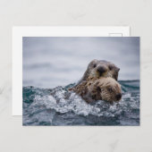 最も可愛い赤ん坊の動物 |オッターベビーとマザー ポストカード (正面/裏面)