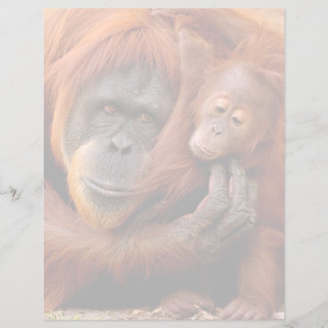 最も可愛い赤ん坊の動物 |オランウータン母とベビー (正面)