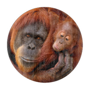 最も可愛い赤ん坊の動物 オランウータン母とベビー カッティングボード