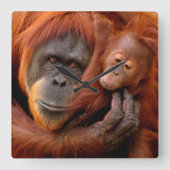 最も可愛い赤ん坊の動物 |オランウータン母とベビー スクエア壁時計 (正面)
