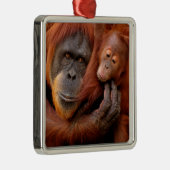 最も可愛い赤ん坊の動物 |オランウータン母とベビー メタルオーナメント (右)