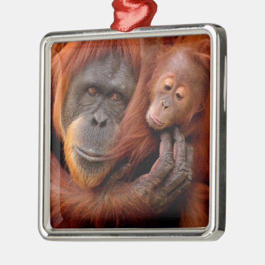 最も可愛い赤ん坊の動物 |オランウータン母とベビー メタルオーナメント (左)