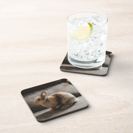 最も可愛い赤ん坊の動物 |オランダ矮小ウサギ コースター (右側)