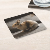 最も可愛い赤ん坊の動物 |オランダ矮小ウサギ スクエアペーパーコースター (アングル)