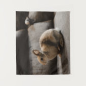 最も可愛い赤ん坊の動物 |オランダ矮小ウサギ タペストリー (正面)