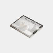 最も可愛い赤ん坊の動物 |オランダ矮小ウサギ ポストイット (アングル)