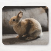 最も可愛い赤ん坊の動物 |オランダ矮小ウサギ マウスパッド (正面)