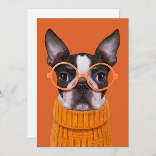 最も可愛い赤ん坊の動物 |オレンジボストンテリア サンキューカード (正面/裏面)