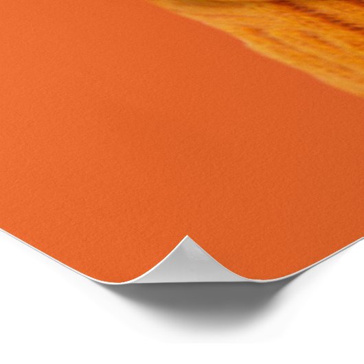 最も可愛い赤ん坊の動物 |オレンジボストンテリア ポスター (角)