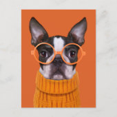 最も可愛い赤ん坊の動物 |オレンジボストンテリア ポストカード (正面)
