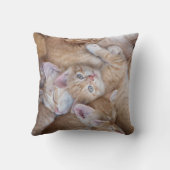 最も可愛い赤ん坊の動物 |オレンジ色の子猫パイル クッション (裏面)