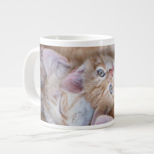 最も可愛い赤ん坊の動物 オレンジ色の子猫パイル ジャンボコーヒーマグカップ