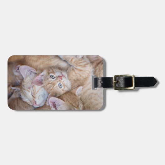 最も可愛い赤ん坊の動物 |オレンジ色の子猫パイル ラゲッジタグ (正面横)