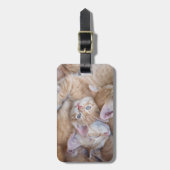 最も可愛い赤ん坊の動物 |オレンジ色の子猫パイル ラゲッジタグ (正面縦)