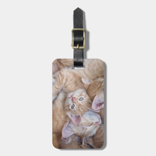 最も可愛い赤ん坊の動物 |オレンジ色の子猫パイル ラゲッジタグ (正面縦)