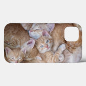 最も可愛い赤ん坊の動物 |オレンジ色の子猫パイル Case-Mate iPhoneケース (裏面 (横))