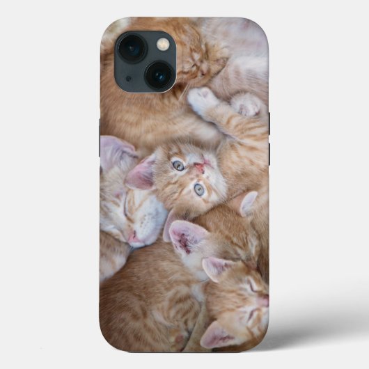 最も可愛い赤ん坊の動物 |オレンジ色の子猫パイル Case-Mate iPhoneケース (裏面)