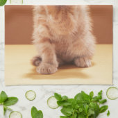 最も可愛い赤ん坊の動物 |オレンジ虎猫子猫 キッチンタオル (折り畳み)